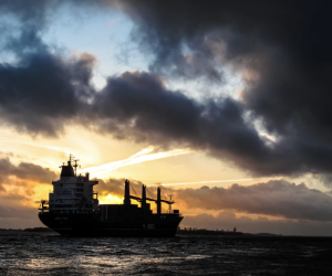 International Ocean Transportation Supply Chain Engagement