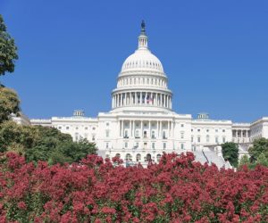 War Powers Resolution: Expedited Procedures in the House and Senate