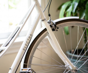 Case Studies in Cyber Supply Chain Risk Management: Palo Alto Networks, Inc.