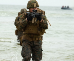 U.S. Military Forces in FY 2020: Marine Corps