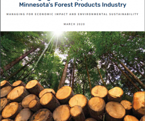 Minnesota’s Forests Have Untapped Economic and Environmental Potential