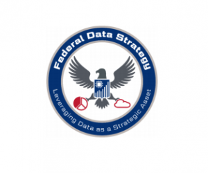 Federal Data Strategy Data Ethics Framework