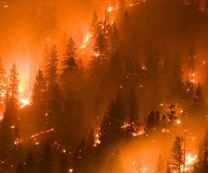 Four Technologies Aiming to Tame Wildfires
