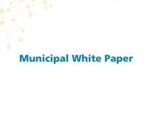 Municipal White Paper