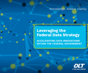 Leveraging the Federal Data Strategy