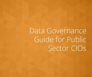 Data Governance Guide for Public Sector CIOs