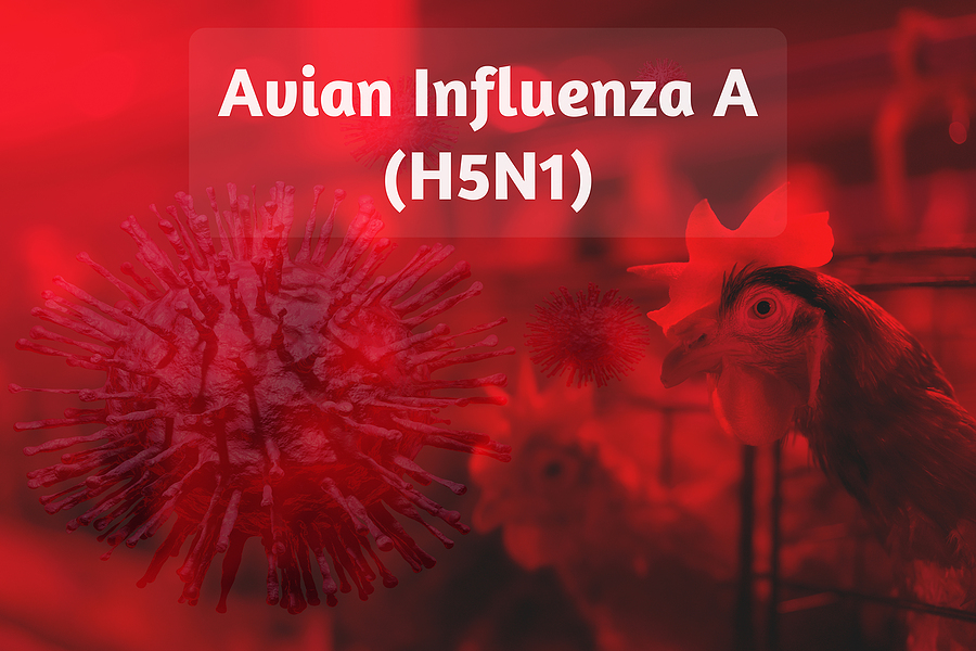 H5N1 Avian Influenza Situation Update and Threat Overview for Business