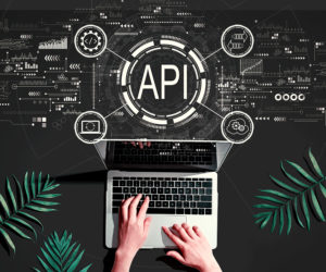 Solution Brief: Strengthening API Security for Digital Transformation