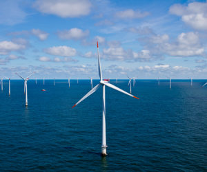 Potential Impacts of Offshore Wind on The Marine Ecosystem and Associated Species: Background and Issues for Congress