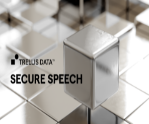 Trellis Secure Speech: Translation and Transcription