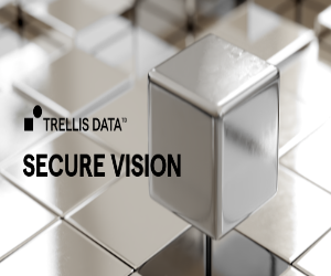 Trellis Secure Vision: Object Detection and Facial Recognition