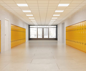 K-12 School Security Guide for School Business Officials