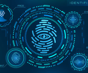 Biometric Identity Disambiguation