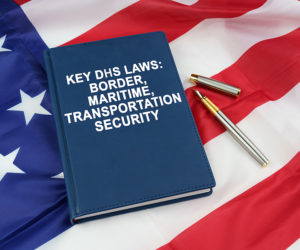 Maritime and Immigration Security Solutions Division