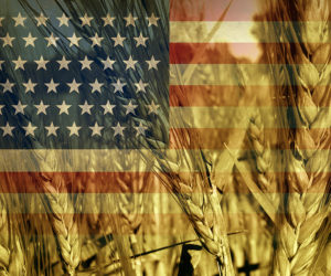 Outlook for U.S. Agricultural Trade: February 2025