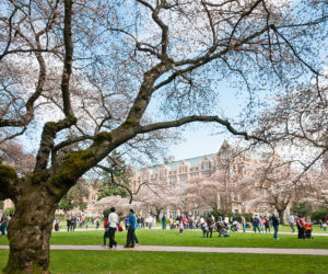 Executive Order 14282: Transparency Regarding Foreign Influence at American Universities