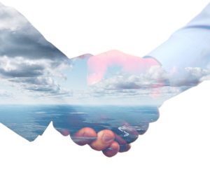 How Lens Saves Maryland Environmental Trust Time and Money