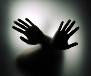 Executive Order 14287: Protecting American Communities From Criminal Aliens