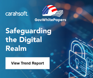 Safeguarding the Digital Realm