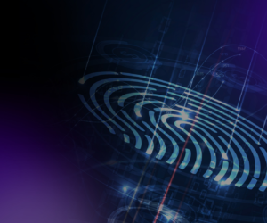 Latent Print Search Accuracy Against Rolled, Plain, and Contactless Known Prints