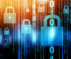 Fraud Risk in Federal Programs
