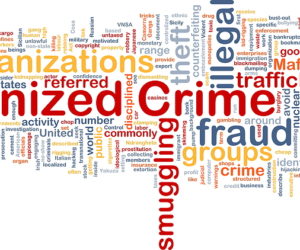 A Framework for Countering Organized Crime
