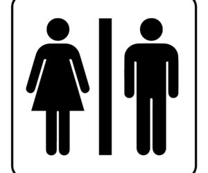 Sex Codes “M” or “F” in Systems