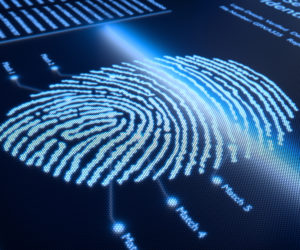 Digital Identity Guidelines