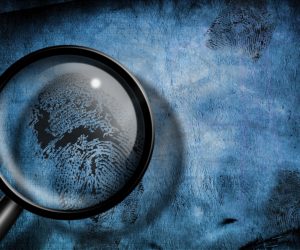 Criminal Victimization in the 22 Largest U.S. States, 2020–2022