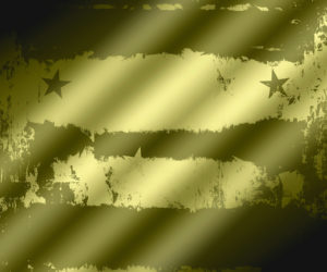 U.S. Arms Transfer