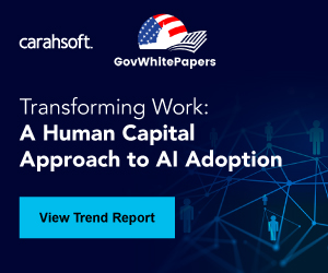 Transforming Work: A Human Capital Approach to AI Adoption