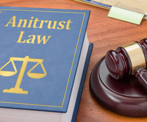 Rethinking Antitrust: The Case for Dynamic Competition Policy