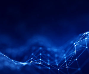 The 2025 State Chief Data Officer Survey