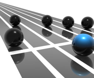 Leadership Framework for an Agile Government