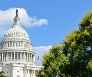 Drive Capital Program Success