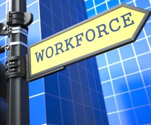 Workforce Program Review