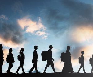 International Migration Outlook 2025