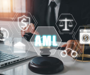 Elements of State Anti-Money Laundering Laws