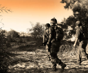 Expansion of Joint Task Force Alpha and Prioritizing the Prosecution of UAC Offenses