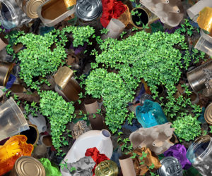 Single-use Plastics in Colorado