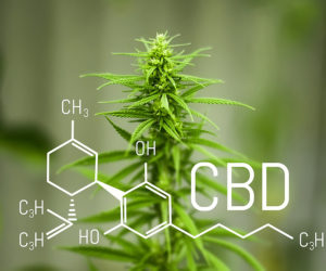 Executive Order 14370: Increasing Medical Marijuana and Cannabidiol Research