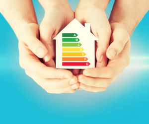 U.S. DOE Efficient New Homes Program