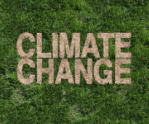 Environmental Outlook on the Triple Planetary Crisis: Stakes, Evolution and Policy Linkages