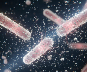 Designing for Durability in a Microbial World